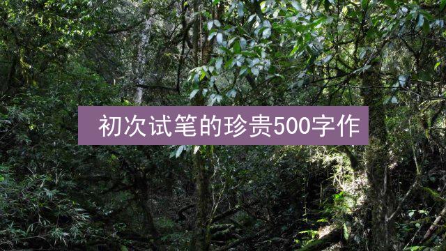  初次试笔的珍贵500字作